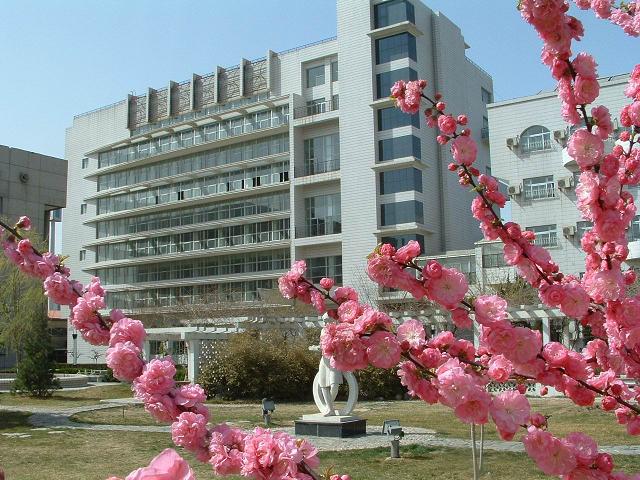 男生把鸡鸡插入女生的逼逼里的视频